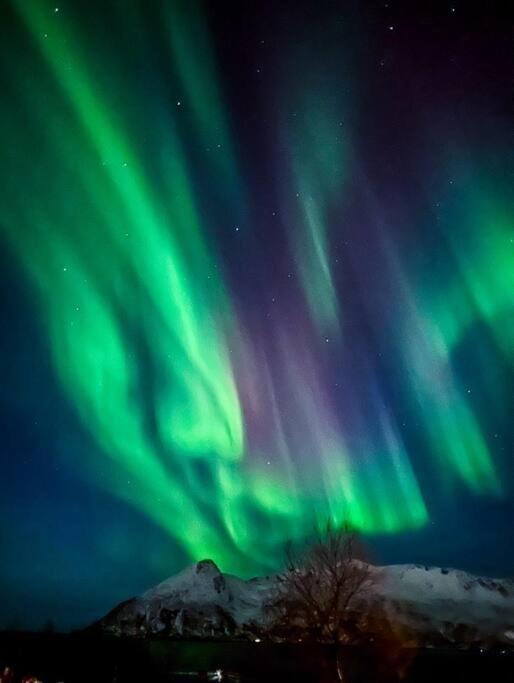 Seaside Lejlighed Tromsø Eksteriør billede